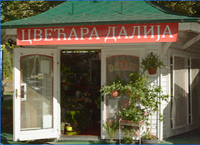 Cvećara Dalija