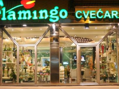 Flamingo cvećara